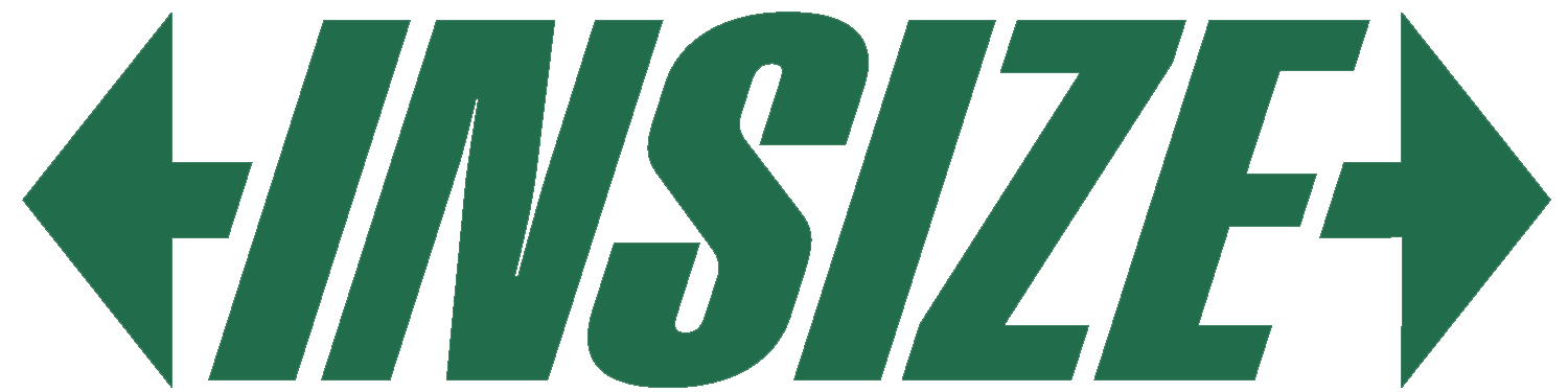 Insize logo